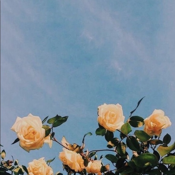 Meet the Posher Other - Meet your Posher, Jocelyn